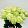 21 зеленая роза фото 4